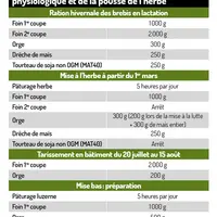La ration des brebis évolue en fonction du stade physiologique et de la pousse de l'herbe ©Damien Gombert