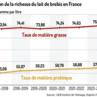 Graphique : Cours de l’agneau lourd britannique ©GEB-Institut de l’élevage, d’après AHDB-Beef & Lamb