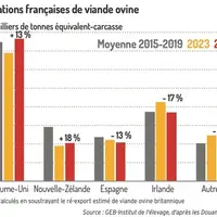 Graphique : Importations françaises de viande ovine ©GEB-Institut de l’élevage, d’après les Douanes françaises