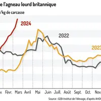 Graphique : Évolution de la richesse du lait de brebis en France © GEB-Institut de l'élevage, d'après FranceAgriMer