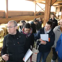 Vétérinaires dans une bergerie