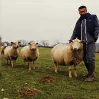 Sébastien Abiuso avec ses brebis dans un champ.