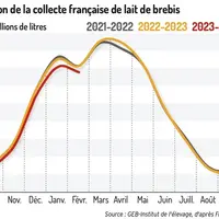 Graphique : Évolution de la collecte française de lait de brebis ©GEB-Institut de l'élevage, d'après FranceAgriMer