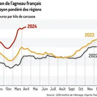 Graphique : Cotations de l’agneau français © GEB-Institut de l’élevage, d’après FranceAgriMer