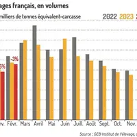 Graphique : Abattages français, en volumes ©GEB-Institut de l’élevage, d’après le SSP