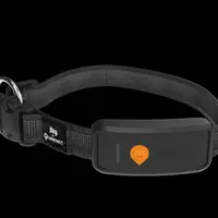 Collier GPS