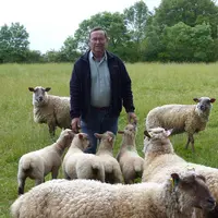 Gérard Leguay au milieu de ses agneaux