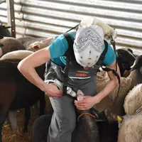 Laura Chalendard, éleveuse ovin dans la Loire