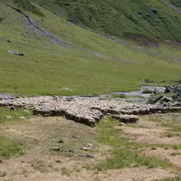 Troupeau de brebis dans les Alpes