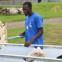Abou, candidat togolais, à l'identification des brebis. Le jeune berger voit cet événement comme une chance d'apprentissage des techniques d'élevage.