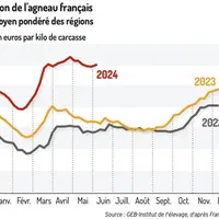Graphique : Cotations de l’agneau français © GEB-Institut de l’élevage, d’après FranceAgriMer