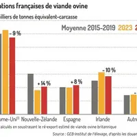 Graphique : Importations françaises de viande ovine ©GEB-Institut de l’élevage, d’après les Douanes françaises