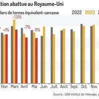Graphique : Production abattue au Royaume-Uni ©GEB-Institut de l’élevage, d’après AHDB