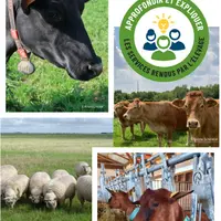 22 fiches sont prévues par la CNE pour communiquer sur les aménités positives de l'élevage de ruminants.