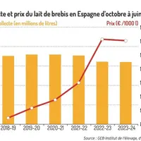 Graphique : Collecte et prix du lait de brebis en Espagne d'octobre à juin