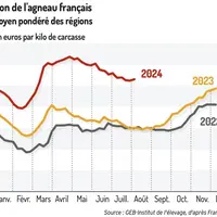 Graphique : Cotation de l'agneau français (prix moyen pondéré des régions)