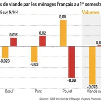 Graphique : Achats de viande par les ménages français au premier semestre