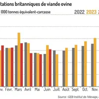 Graphique : Exportations britanniques de viande ovine