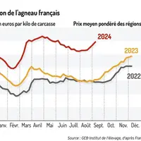 Graphique : Cotation de l'agneau français (en euros par kilo de carcasse) ©GEB-Institut de l'élevage, d'après F
