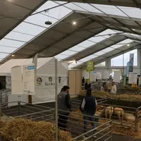 Pôle ovin au Sommet de l'Elevage 2024