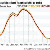 Graphique : Évolution de la collecte française de lait de brebis©GEB-Institut de l'élevage, d'après FranceAgriMer</e