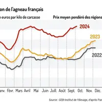 Graphique : Cotation de l'agneau français©GEB-Institut de l’élevage, d’après FranceAgriMer