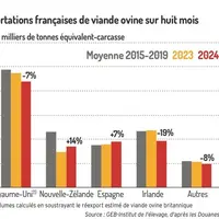 Graphique : Importations françaises de viande ovine sur huit mois@GEB-Institut de l'élevage, d'après les Douanes fra