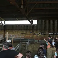 Visite d'élevage