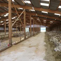 Bergerie