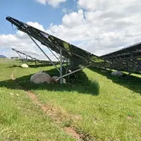 Moutons pâturant sous des panneaux solaires.