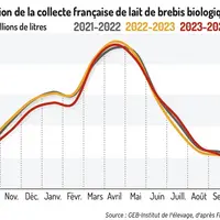 Évolution de la collecte française de lait de brebis biologique