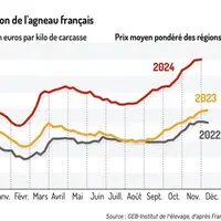 Cotation de l'agneau français