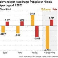 Achats de viande par les ménages français sur 10 mois en 2024 par rapport à 2023