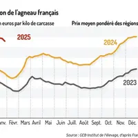 Graphique : Cotation de l'agneau français© GEB-Institut de l'élevage, d'après FranceAgriMer
