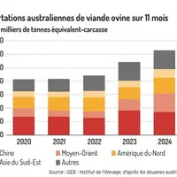 Graphique : Exportations australiennes de viande ovine sur 11 mois© GEB-Institut de l'élevage, d'après les douanes a