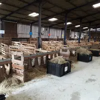 Mesures de quantité de fourrage ingérée au Ciirpo
