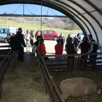 Rencontre technique ovine dans le Puy-de-Dôme du 18/03/2025.