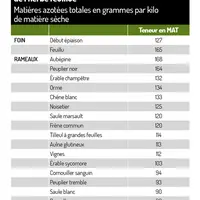 Graphique : Des teneurs en azote parfois équivalentes à celles de l’herbe feuillue©CIIRPO/ Mission Haies (projet Climagrof2)</