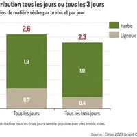 Graphique : Une distribution tous les trois jours semble possible avec des brebis vides©CIIRPO 2023 (projet Climagrof 2)
