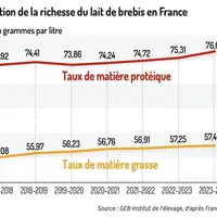 Graphique : Évolution de la richesse du lait de brebis en France©GEB-Institut de l'élevage, d'après FranceAgriMer</e