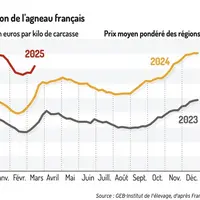 Graphique : Cotation de l'agneau français©GEB-Institut de l'élevage, d'après FranceAgriMer