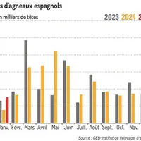 Graphique : Envois d'agneaux espagnols©GEB-Institut de l'élevage, d'après Eurostat