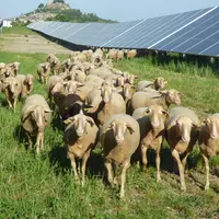La FNO, propose l'examen d'un projet agrivoltaïque afin de rendre un avis technique.