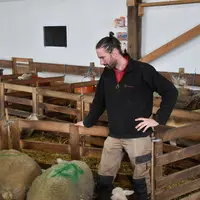 L'éleveur surveille ses brebis.