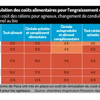 Tableau : Les conseillers ovins de Paca ont mis en place un outil de simulation du coût des rations d'engraissement pour