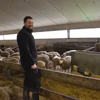 L'éleveur se tient devant ses brebis en bergerie.