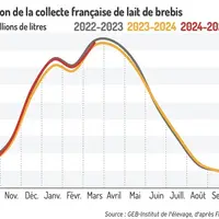 Graphique : Hausse nationale sur les premiers mois de la campagne©GEB-Insitut de l’élevage, d’après FranceAgriMer