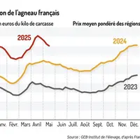 Graphique : Le cours baisse franchement après Pâques 2025©GEB-Institut de l’élevage, d’après FranceAgriMer