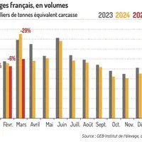 Graphique : La production abattue diminue au 1er trimestre 2025©GEB-Institut de l’élevage, d’après le SSP