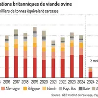Graphique : Production en recul, hausse de l’export au 1er trimestre©GEB-Institut de l’élevage, d’après HMRC